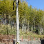 湧き水は公道側溝に流れています。